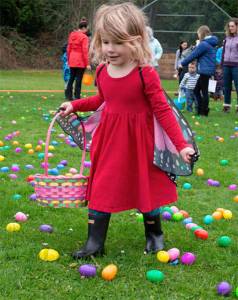 A young girl seeks out the best eggs. Deanna Dusbabek courtesy photos