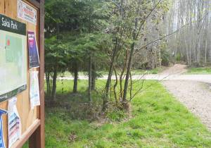 Sakai Park is supposed to have active recreational activities, but after eight years a trail system is all that is in place. Steve Powell/Kitsap News Group