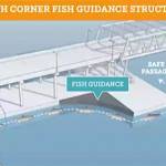 This shows how the structure guides fish to safe passage. Long Live the Kings courtesy images