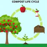 COBI courtesy images