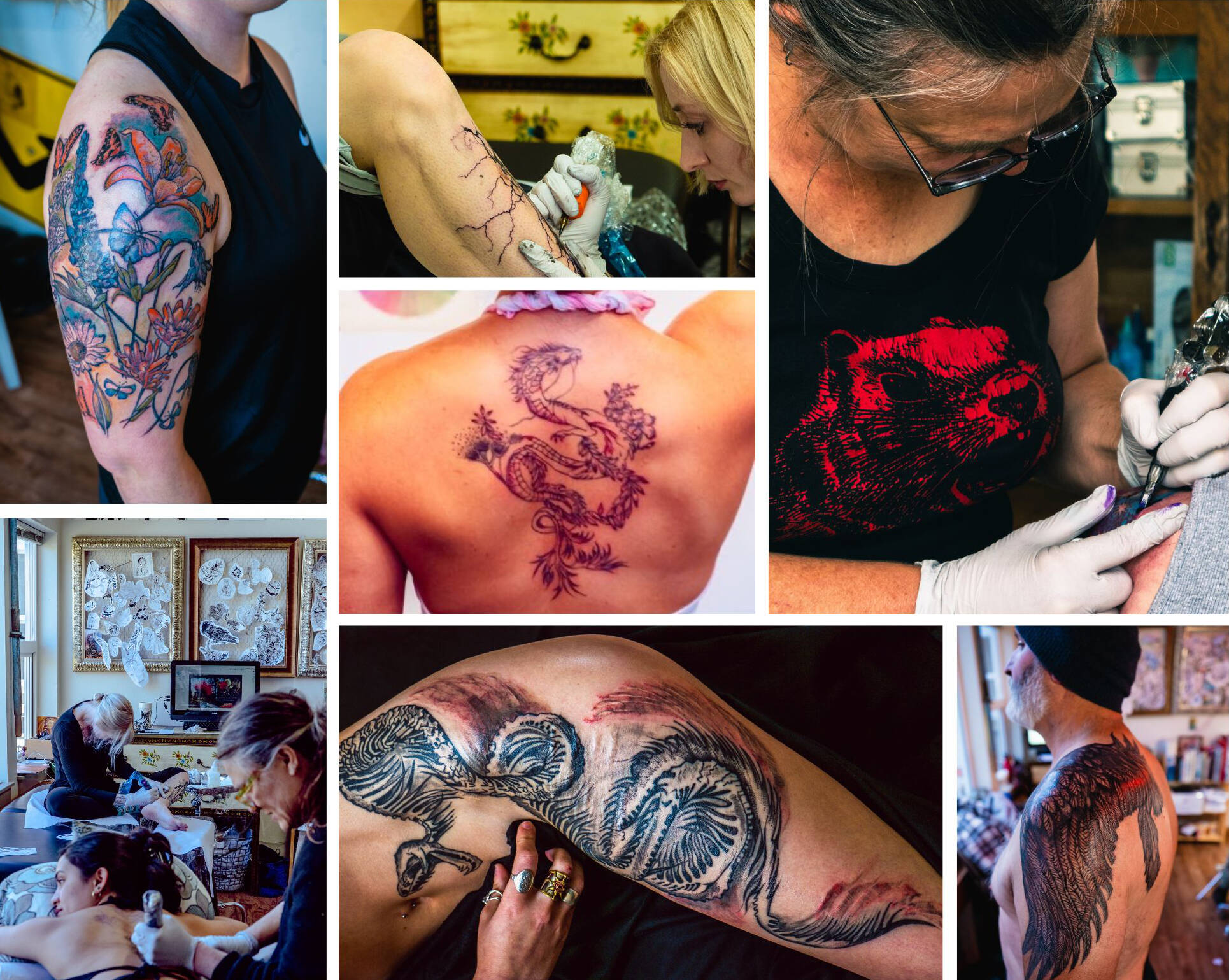 Photo credit to Viking Web Productions.