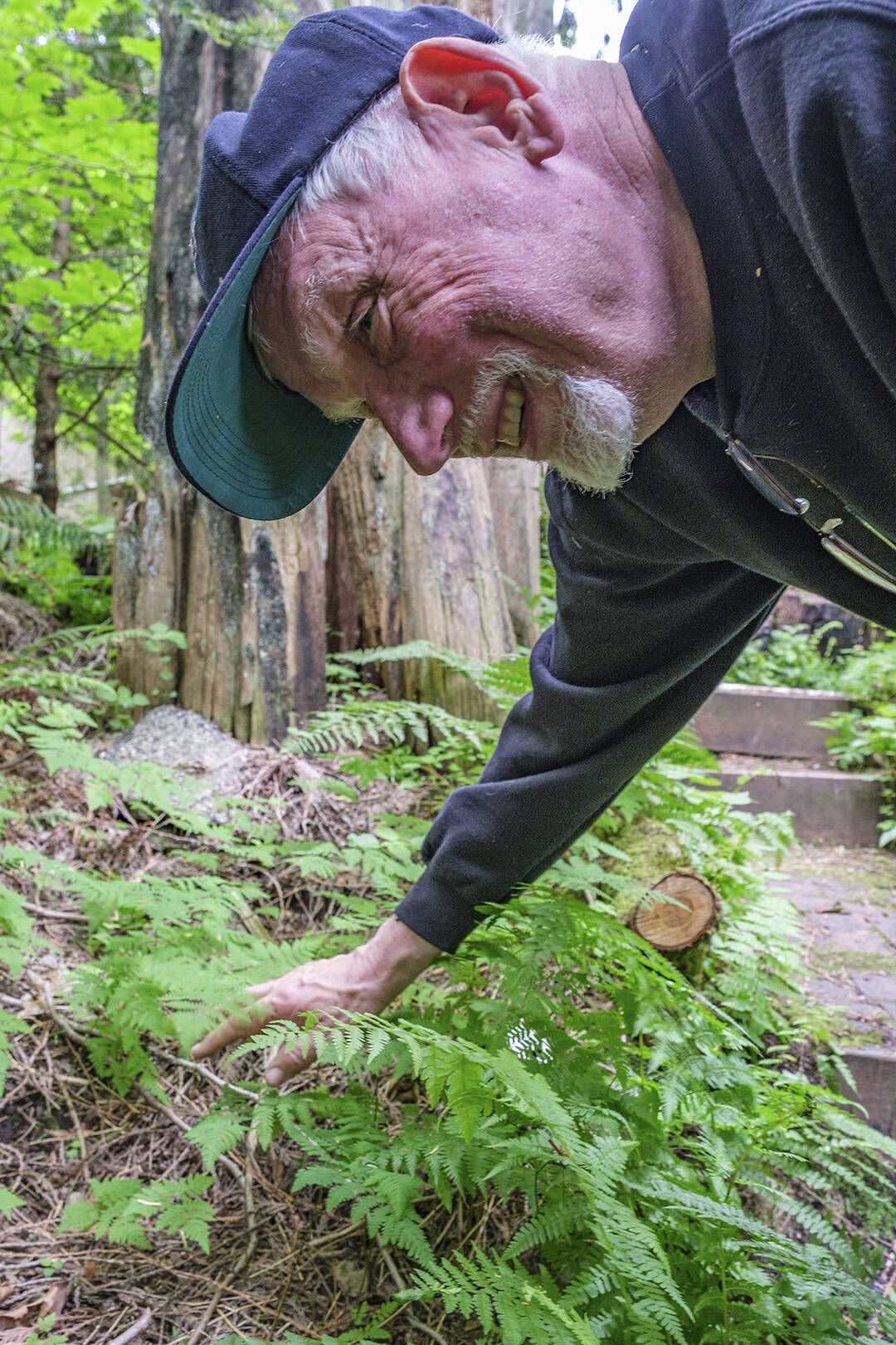 Al Phillips explains about some of the plants on his Dolphin Place Open Space property.