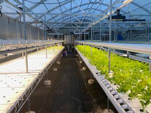 Kitsap Farms donates produce to ShareNet. Kitsap Farms Courtesy Photos