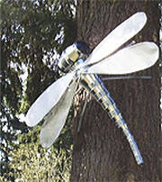 Dragon. COBI courtesy photo