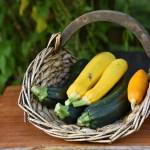 Zucchini and squash are in season. Nancy Treder/Kitsap News Group Photos