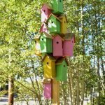 A tower of birdhouses is erected in the park as part of Dambos art installation.