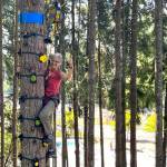 The trees can be climbed by kids and adults.