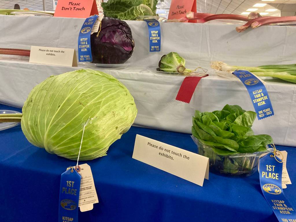 Prizes are being awarded to some very impressive garden foods.