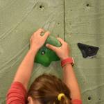 A camper grips a rock while bouldering close to the ground without the use of ropes and harnesses near the floor to practice climbing moves and problem-solving skills to move up the wall.