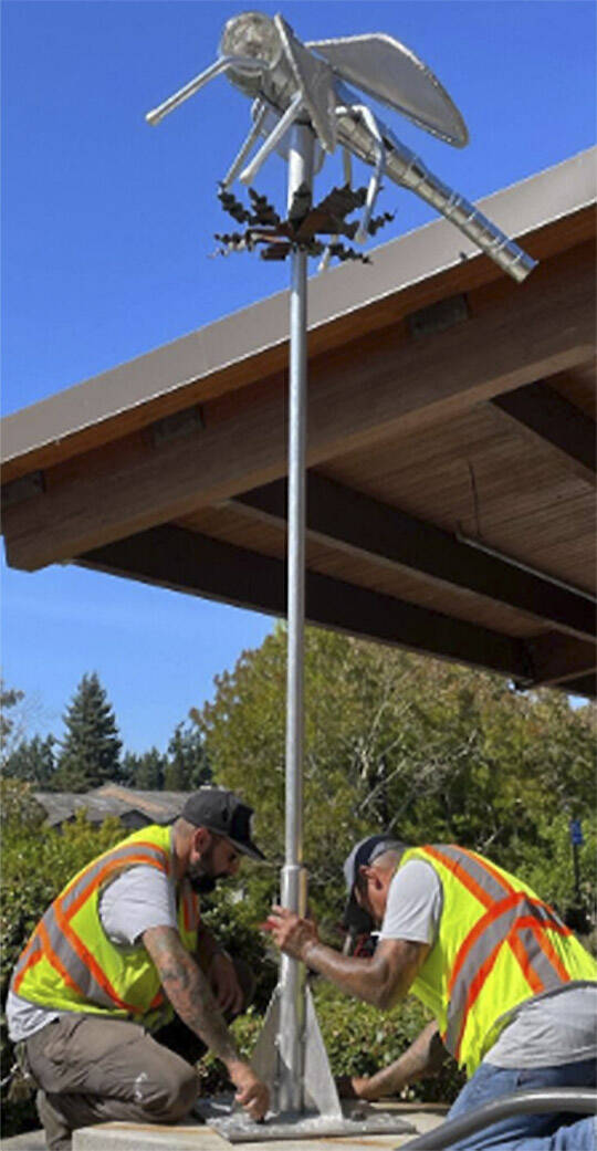 COBI courtesy photo
City workers put up a 7- by 6-foot dragonfly sculpture in front of Bainbridge Island City Hall recently. It is part of the annual Something New art rotation. The Prehistoric Dragonfly by Leon White is made from aluminum, glass and paint. White used vintage glass headlights that glow at night because he wanted its eyes to bulge out.