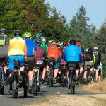 Vehicles pass a group of cyclists.
