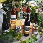 Bainbridge Vineyards takes pride in being a B Corp company.