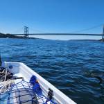 Part of Susans journey included going under the Tacoma Narrows Bridge.