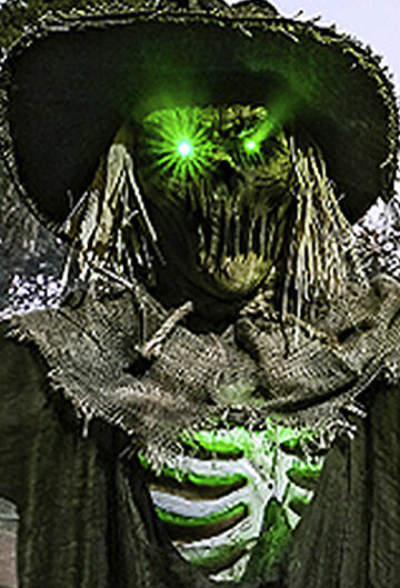 This scarecrow skeleton doesnt just scare away birds.