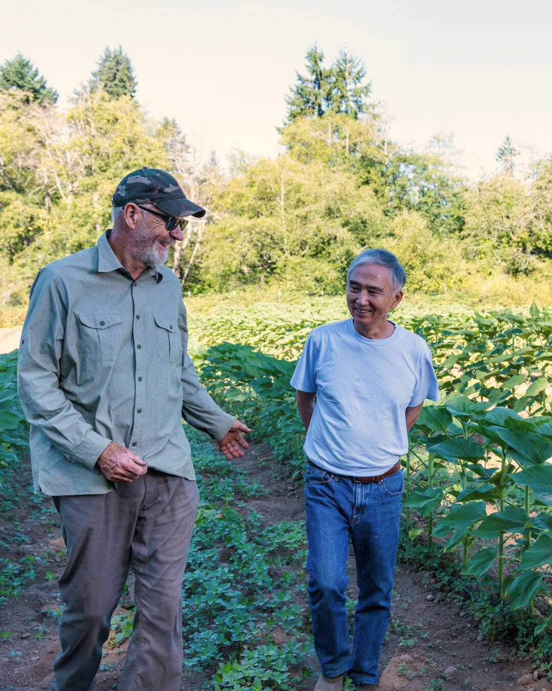Brian MacWhorter and Larry Nakata, former CEO of Town & Country Markets, walk through rows of produce on MiddleField Farm.