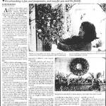 Rose of Sharons was featured in the paper.