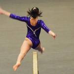 NKs Callie Hinds finishes second in the all-around with 32.45 points.