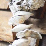 The necklace on Pia is made of shells rather than wood.