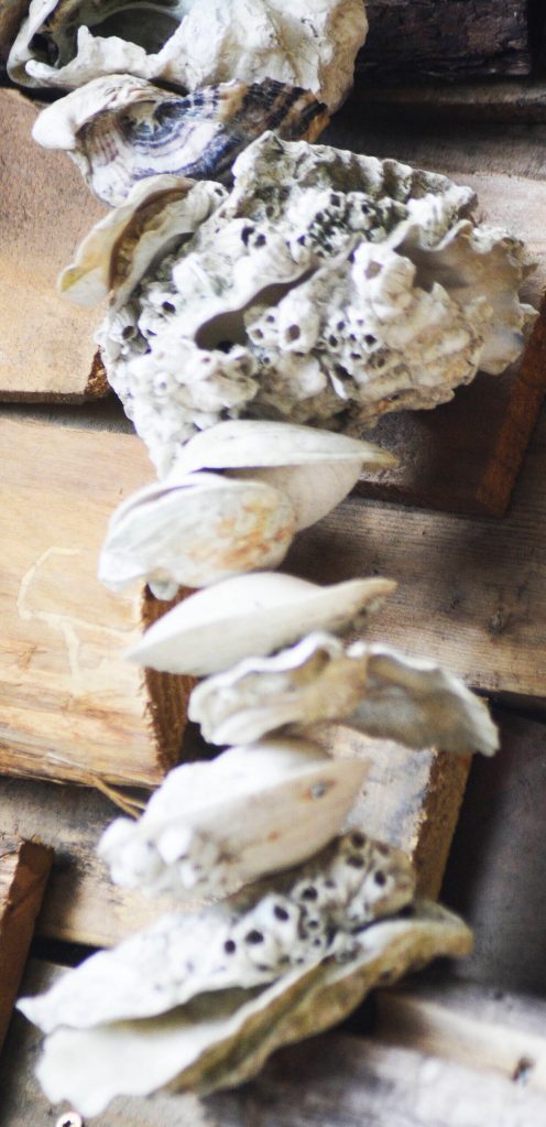 The necklace on Pia is made of shells rather than wood.