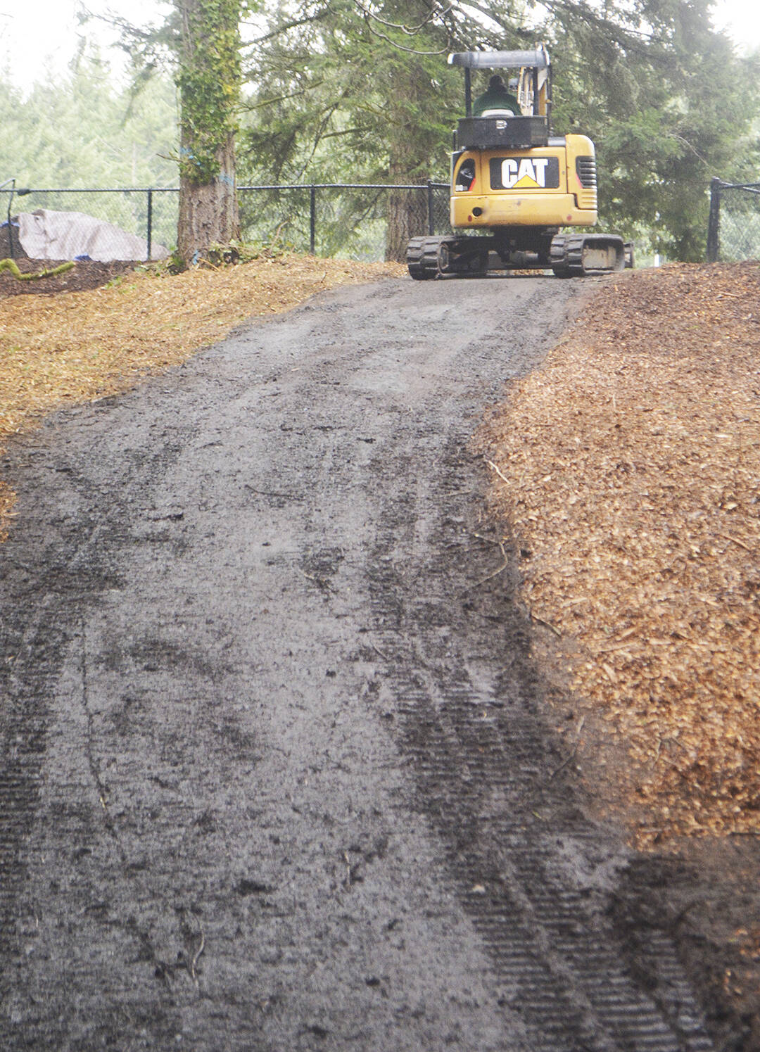 The only cat allowed in the dog park is the one working on the trail that leads to the two areas.