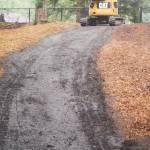 The only cat allowed in the dog park is the one working on the trail that leads to the two areas.