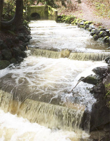 Springbrook Creek Fish Passage