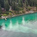 Dave Parks, Coastal Watershed Institute courtesy photo
Herring spawn event seen from above along Agate Pass in March of 2023.