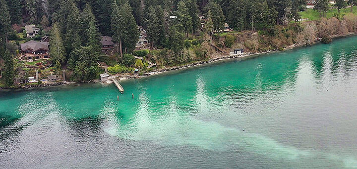 Dave Parks, Coastal Watershed Institute courtesy photo
Herring spawn event seen from above along Agate Pass in March of 2023.