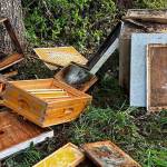 Johnny Bregar courtesy photo
Beehive components scattered all over a corner of Johnny Bregars yard.