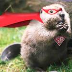 Kitsap County courtesy images