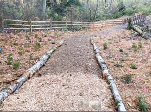 BI Land Trust courtesy photos
Flags mark the spots for some of the over 2,000 native plants recently placed at the Springbrook Creek Preserve.
