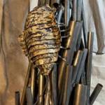 Isopoda, by Matthew Berger.