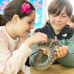 Island School courtesy photo