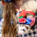 Dogs were not the only ones to make it to this year's parade. Two ferrets decided to join the party.