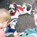 Reading to dogs is popular at a few of the libraries.