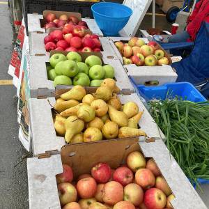 File photo
Eligible older adults for the Senior Farmers Market Nutrition Program will receive an $80 gift card to purchase fresh fruits and vegetables at several local farmers markets.