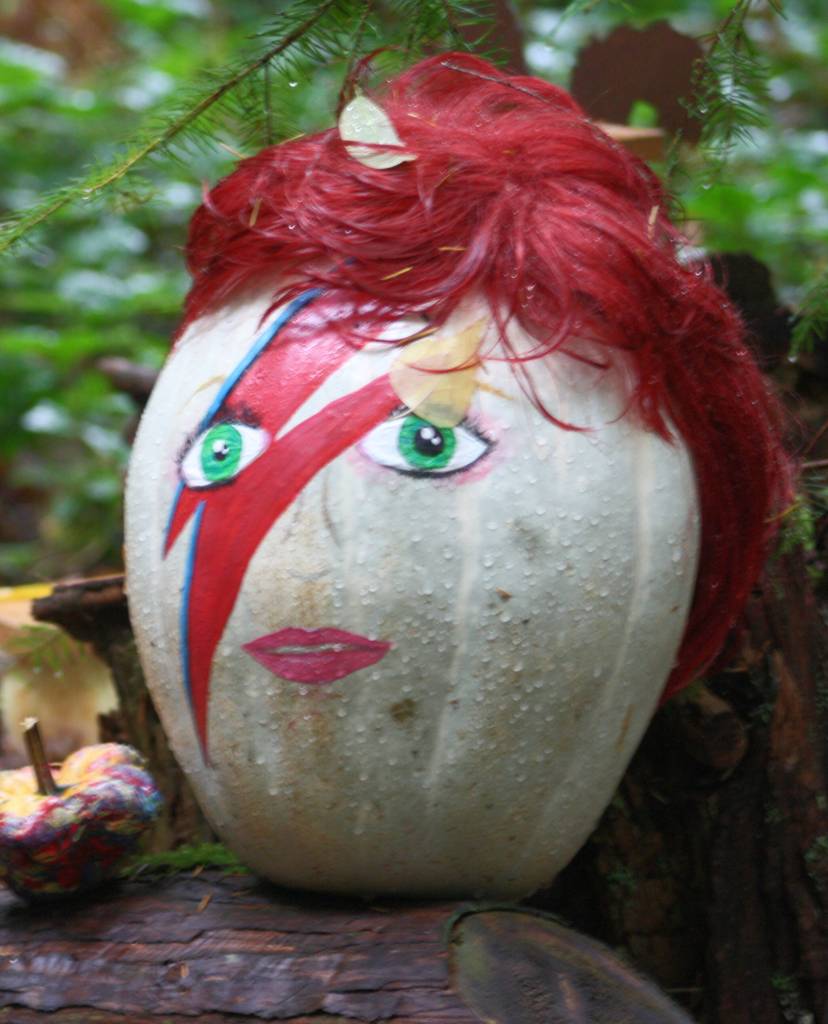 A tall pumpkin with a wig completes a tribute to David Bowies Ziggy Stardust.