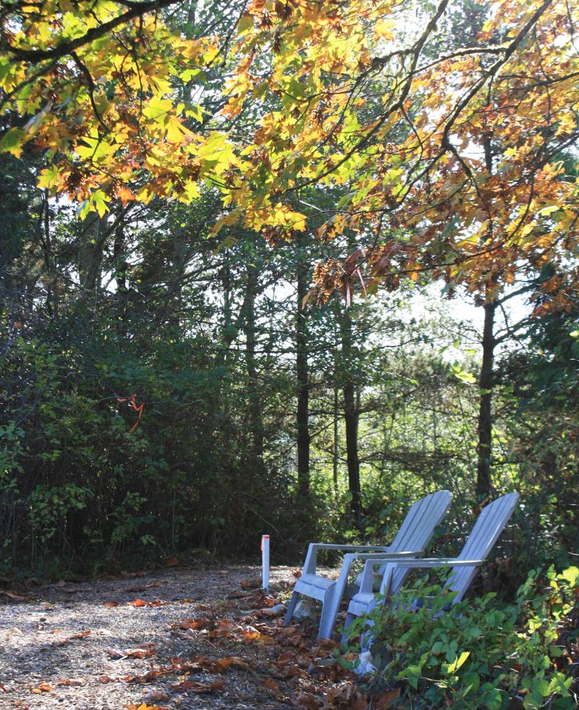 Molly Hetherwick/Kitsap News Group photos
The trail has spots to sit and relax.