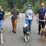 KHS courtesy photos
Community members take KHS dogs out for a walk through the Barks and Recs program.