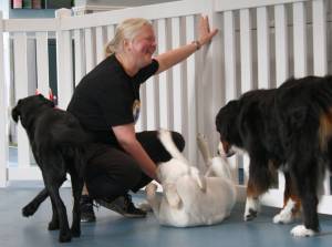 Andrea Bernadt playing with Reina, Luna and Adele.
