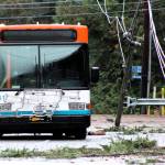 Lowered power lines, downed trees and a snapped electrical pole left this Kitsap Transit bus trapped in its place.