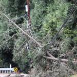 Elisha Meyer/Kitsap News Group photos
Fallen trees and a snapped electrical pole along this stretch of Silverdale Way NW caused power to go out for approximately 1,300 Kitsap County residents.