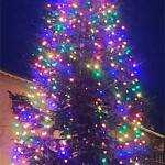 The Christmas tree by the Poulsbo waterfront was officially lit Nov. 29.