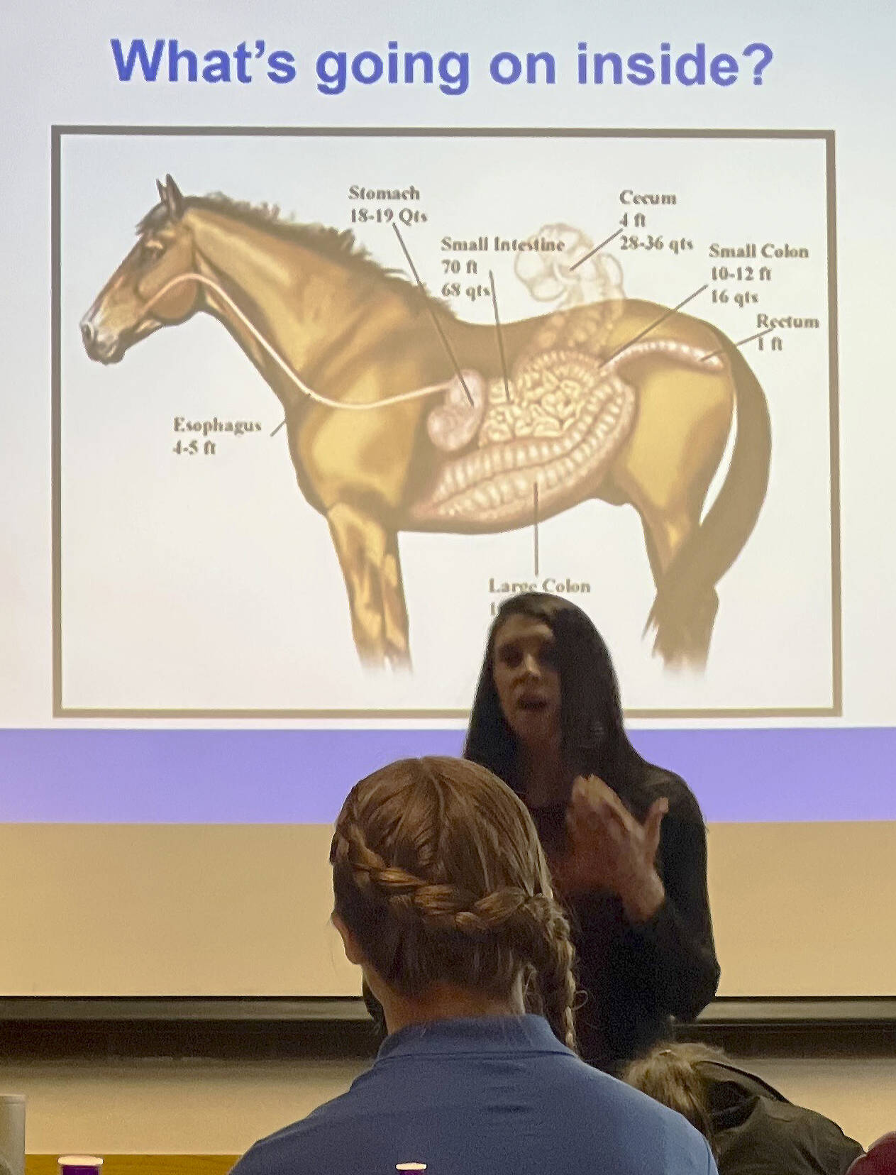 Crystal White, a seasoned equine nutrition consultant with CHS, spoke to attendees about the importance of nutrition in overall horse care.