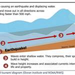 WEMD courtesy images
