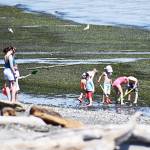 File photo
Visitors to beaches like Fay Bainbridge are advised not to try to clean up creosote debris as its toxic.