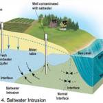 COBI courtesy graphics