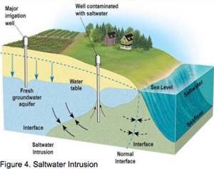 COBI courtesy graphics