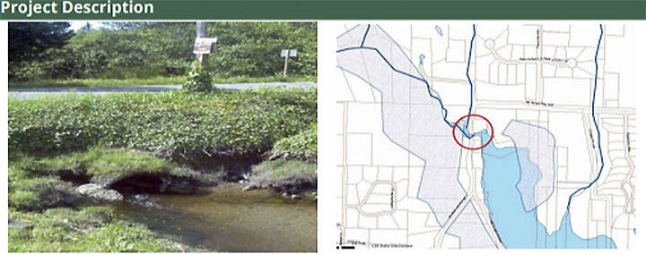 Cooper Creek project replaces an undersized culvert with a fish passage box culvert that addresses flooding, fish and non-motorized improvements.