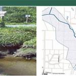 Cooper Creek project replaces an undersized culvert with a fish passage box culvert that addresses flooding, fish and non-motorized improvements.